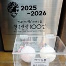 펫파크 동백점 | 통영아이와가볼만한곳 가족여행 추천 통영케이블카 디피랑