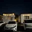 퐁낭에염 이미지