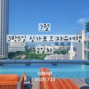 풀만 싱가포르 힐스트리트 호텔 루프탑 수영장 야경 후기