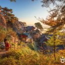 산청율수원 - 711 | 산청율수원