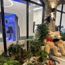 플레이그라운드어린이집 | 원어민 영어 노출부터 체험까지 가능한 키즈멧 플레이그라운드 동탄점 솔직 후기