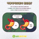 늘봄경희한의원 이미지