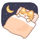 해피캣타운 고양이강아지 서울충무로점 이미지