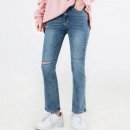 세미