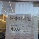 봄블리 | 수완지구 네일 봄블리네일 젤페디 후기