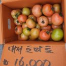 아빠네과일야채 - 동구 대전로 655 | 아빠네과일야채