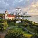 북부카랜드 | [오키나와 자유여행] T멤버십 혜택 추천 vs 비추천, 렌터카부터 맛집까지 솔직 분석