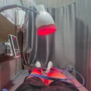 토닥토닥한의원 이미지