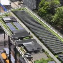 옥상정원에 태양광패널 설치했더니 에너지효율 2배 껑충 기사 이미지