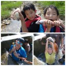 용인대 경일태권도 이미지