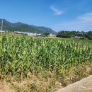 문정농장 이미지