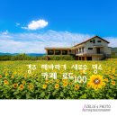 해바라기카페 - 포천시 | 해바라기카페