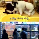 바라농장 이미지