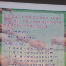 웨딩타운식당