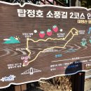 논산 탑정호 출렁다리와 강경 젓갈시장 이미지