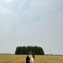 SK군산self주유소 | 군산여행 1박2일 여행 | 군산 놀거리(옥녀교차로, 경암동철길마을, 군산CC)