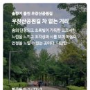 우이천길 차없는거리 이미지