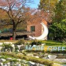 오림피아 수영장 이미지