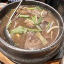 백년SP