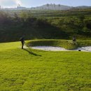 클럽디거창 이미지