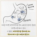 ◆＜一讀＞감동실화 (정식품) 이미지