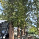 나주 글램핑 어스 | [나주 숙소] 나주 글램핑 어스 후기!!