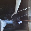 칠백농장 이미지