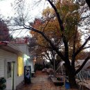 둥지목장 이미지