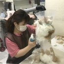 두리동물클리닉 이미지