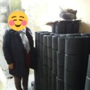 두암 동강대학교 앞 이미지