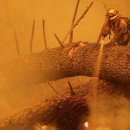 위플래시PC 이미지