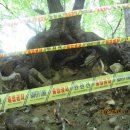 서구 민방위교육장(3) 이미지