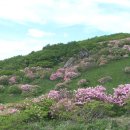 양재역 11번출구 옆 이미지