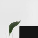 증포설렁탕 이미지