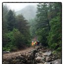 초리넝쿨마을 이미지