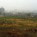 효성개발 이미지