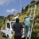 초밥나라 이미지