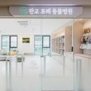 포레동물병원 이미지