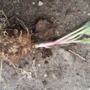 예정농장 이미지