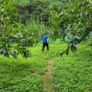 을해농장 이미지