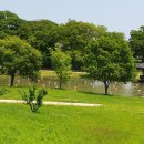 수비 면사무소 이미지