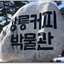 강릉커피박물관 티스토리