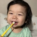 예꼬맘 360 어린이 칫솔 12개월 아기 사용 후기
