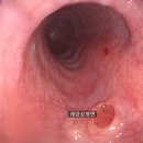 장새로내과의원 이미지