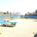 이의초등학교 이미지