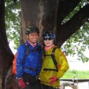 남종면 분원리 100 이미지