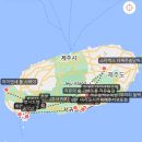 라이엔네풀스테이