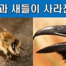 전세계'꿀벌집단폐사&사라지는 새들' 이미지