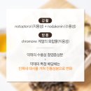 광개토한의원 이미지