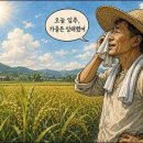 (얼레빗 제5273호) 오늘은 입추, 가을은 이미 잉태했으리 이미지